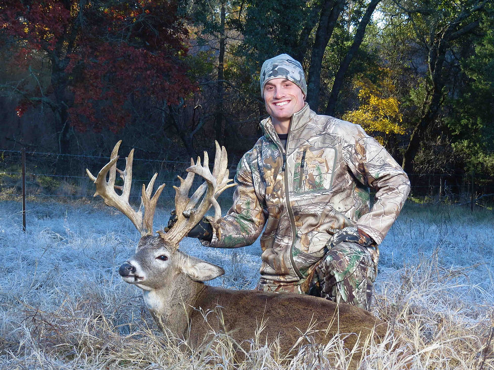 Texas Whitetail Deer Harvest
