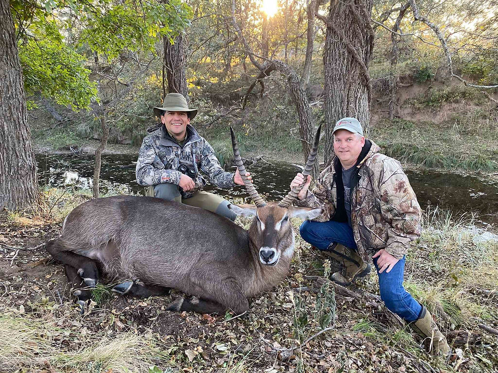 Texas Exotic Harvest