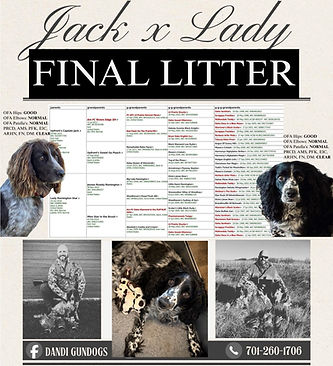 LAST LITTER (1).jpg