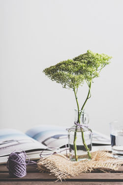 Decor & Styling