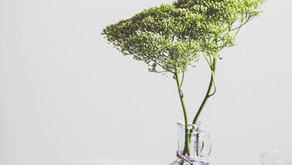 Hypoallergenic Cleaning Naturally for your Home