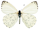 1570047856_b_113_edited.png