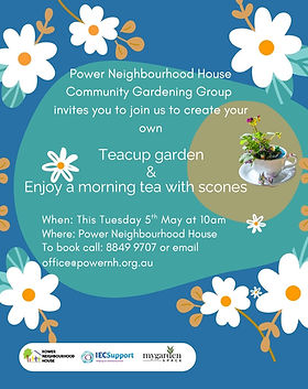 PNH Teacup garden Workshop (Instagram Post (45)).jpg