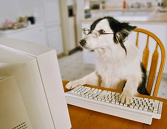 article-0-03EB73B20000044D-926_468x362.j