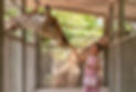 AdobeStock_283537723.jpeg