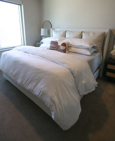 Photo Feb 11, 12 58 47 AM.jpg