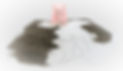 Titel_Tannennadelnebel.jpg