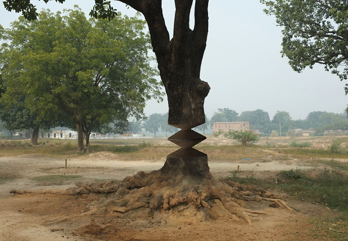 Woodworks-paologiordanodesign-2