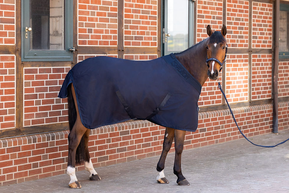 Thumbnail: Eskadron Dura Stable/Travel Sheet Rug Navy 0g