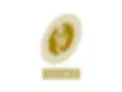 rwc-rugby-world-cup-womens-eng-2025-vertical8803.logowik.com.webp