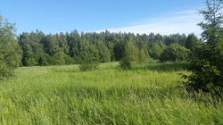 участок 7а_5