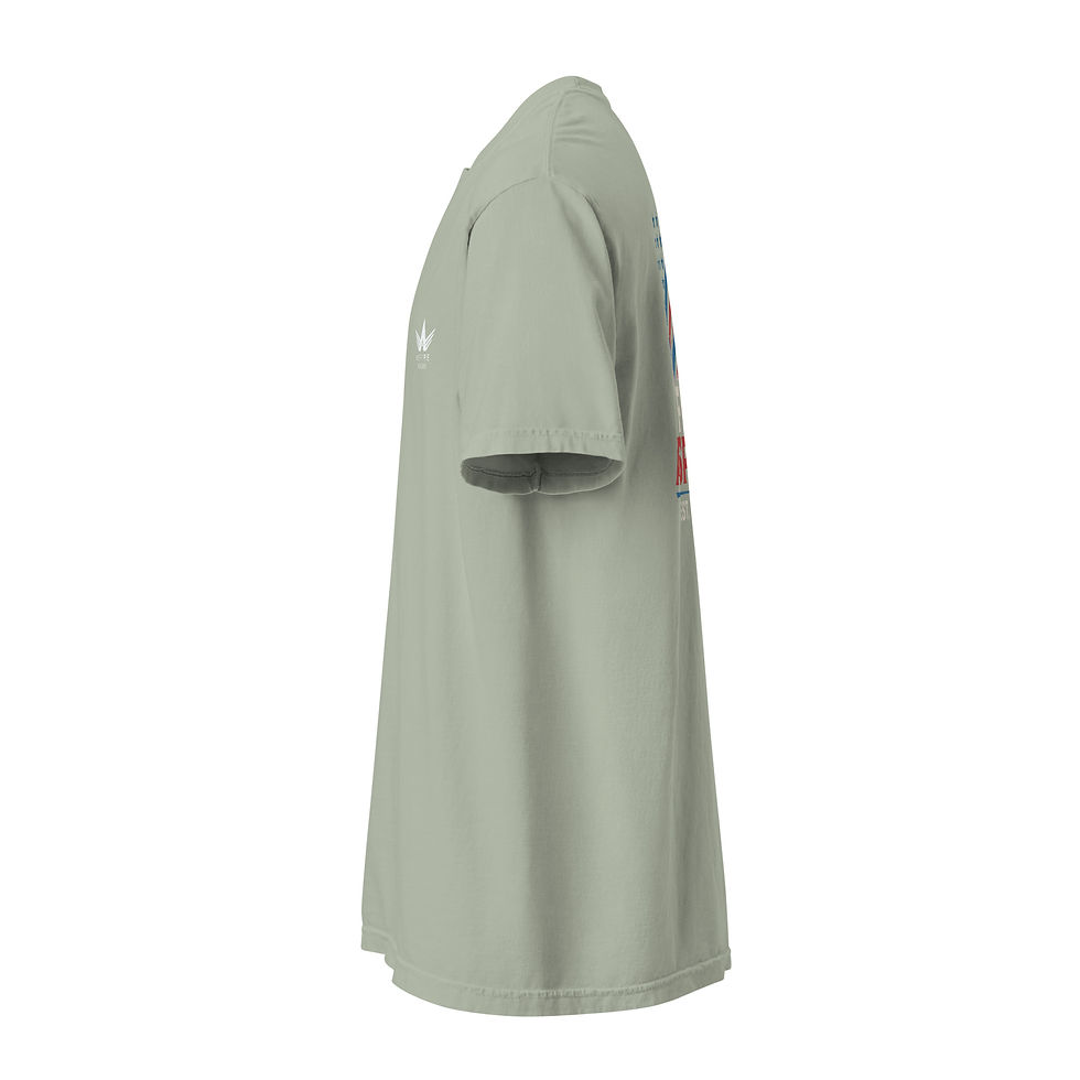 Thumbnail: Fly Aspire America Tee
