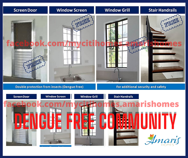 DENGUE FREE COMMUNITY.png