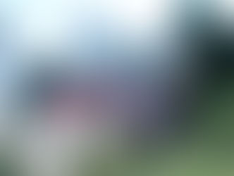 Road Trip to Screaming Heads