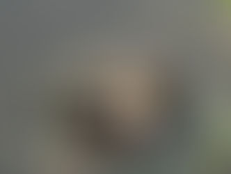 NINJA TURTLES  fighting to the finish to claim their territory