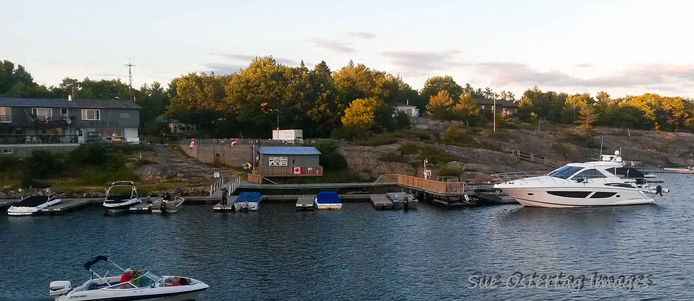 Dillon Cove Marina from Water