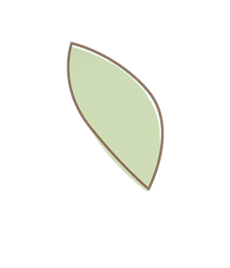 Bl%C3%A4tter3_edited.png