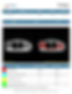 MRI body composition report
