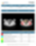 CT body composition report