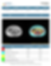MRI body composition report