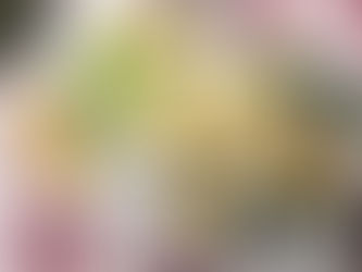 Salade avocat, féta, pomme, mangue