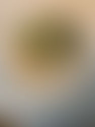 Risotto poulet petits-pois