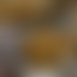 Poulet sauce moutarde