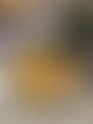 Tortilla pommes de terre, oignon