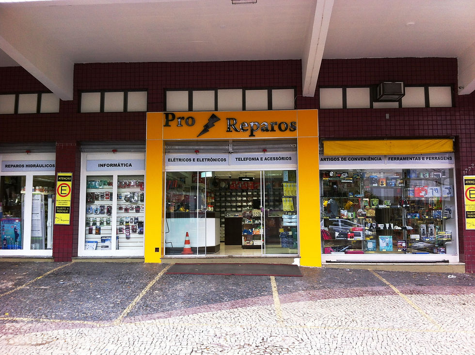 PRO-REP 01.JPG