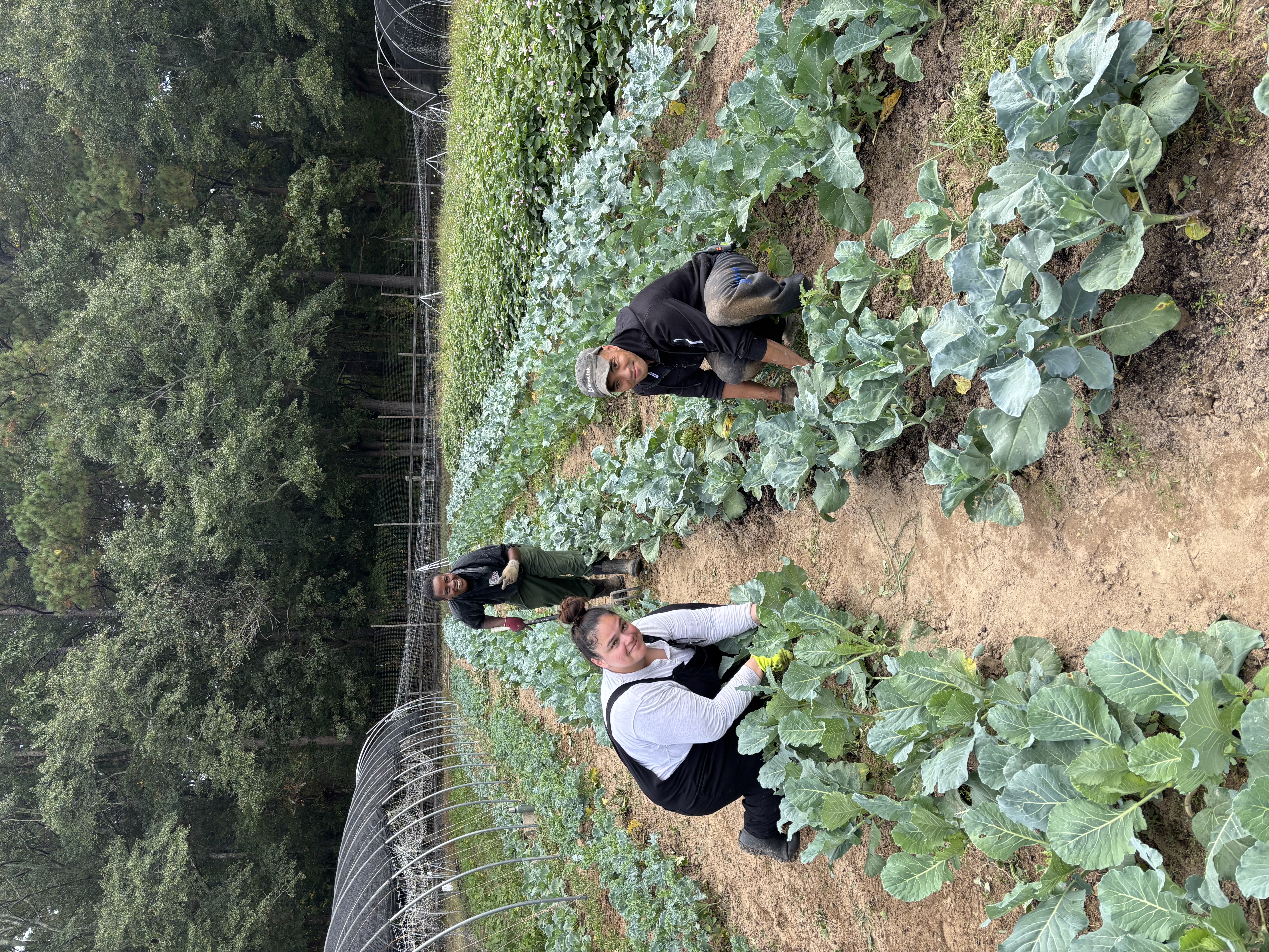 Apprenticeship Program (1).jpeg