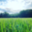 36E4C933-80F8-4CC5-B030-50373CE8C9D5.jpg