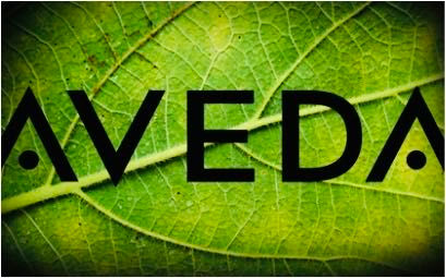 WeChat Image_20230314165732.jpg