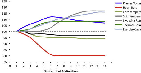 The Most Important Time to Focus on Heat and Hydration