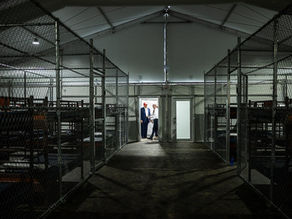 Cages in a Swamp: How Dare We Call This Justice?