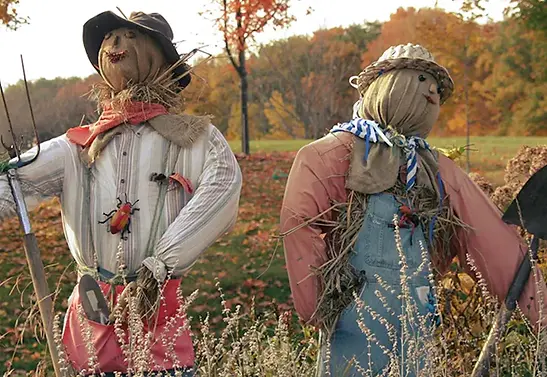 scarecrows.jpg.webp