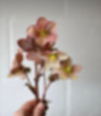 luxury wedding florist new york