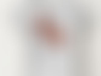 Review Sam Houston Athletic Mark Baby T-Shirt