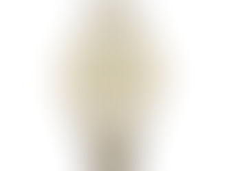 Hot Deals! TRUMP WATCH