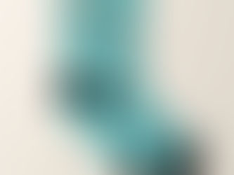 Review Best Friends BFF Besties Teal Green Heart Photo Socks