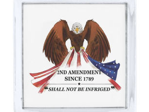 Hot Deals! 2nd Amendment Throw Pillow Silver Finish Lapel Pin