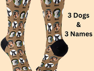 Top 5! 3 Dogs, 3 Names, Dog Photo - Personalized Brown Socks
