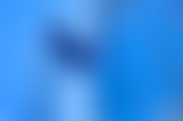 EDPB udgiver informationsnote om EU-U.S. Data Privacy Framework