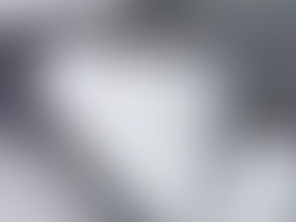 Danske Shoppingcentre indstilles til bøde