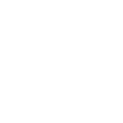 shape1.webp