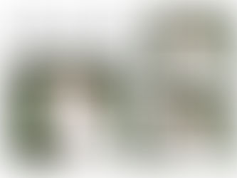 Sip & Snap Wedding Photo Booth Rental in Northern Illinois