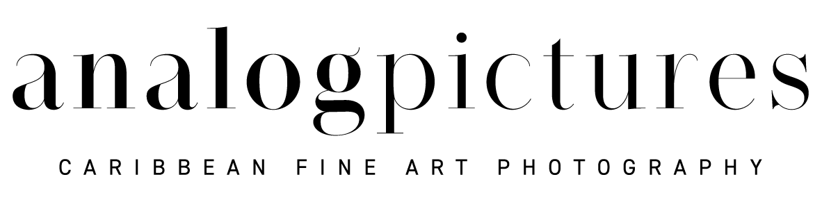 Logo Analog Pictures