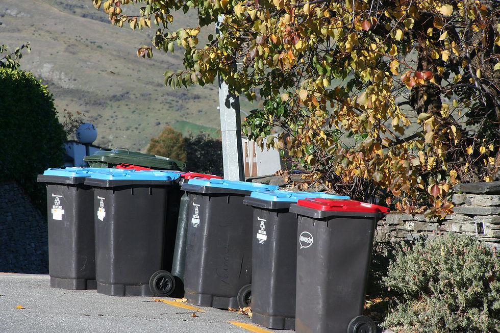 Wheelie Bins at home without Storage