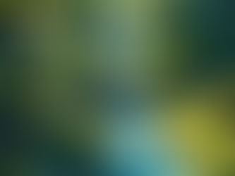 Reflection and Being