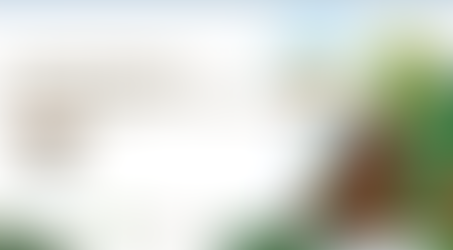 Trees Solutions Officially Kicks Off Salesforce CRM Project with PT ALTO Network