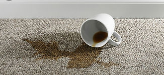STAIN REMOVAL